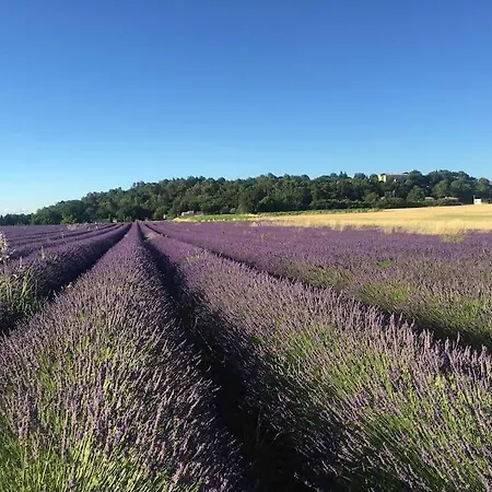 L'annexe De L' Bergerie - L' Ardeche - Via Rhona Holiday home