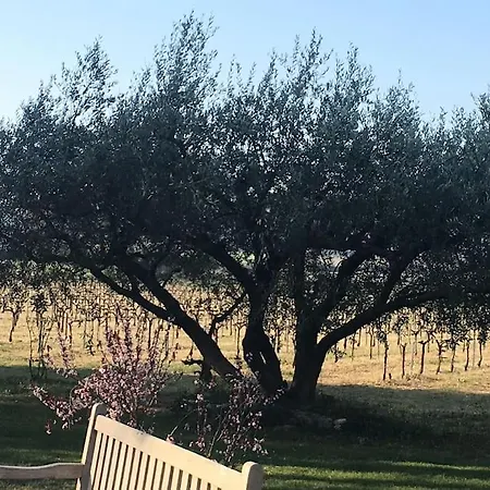 Tatil Evi L'annexe De L' Bergerie - L' Ardeche - Via Rhona