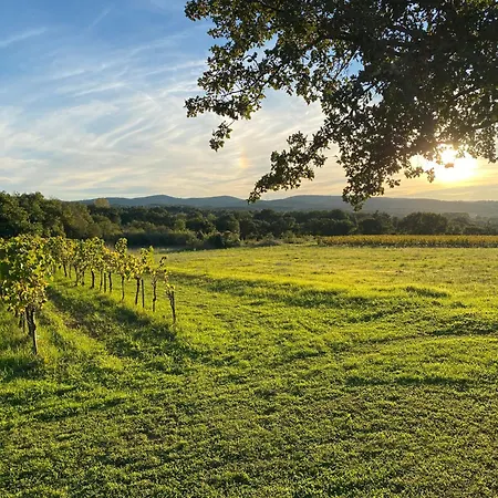 L'annexe De L' Bergerie - L' Ardeche - Via Rhona *