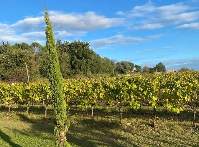 Σπίτι διακοπών L'annexe De L' Bergerie - L' Ardeche - Via Rhona *