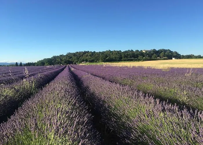 L'annexe De L' Bergerie - L' Ardeche - Via Rhona Σπίτι διακοπών