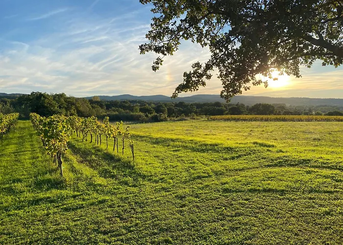 L'annexe De L' Bergerie - L' Ardeche - Via Rhona *