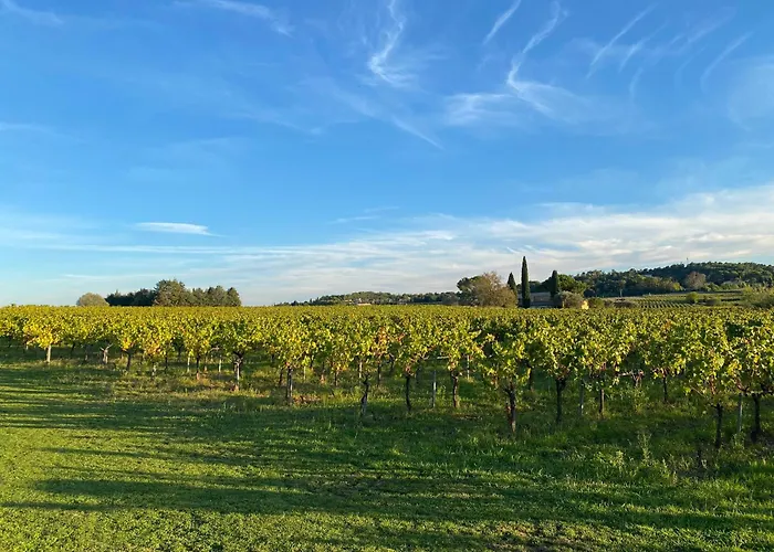 L'annexe De L' Bergerie - L' Ardeche - Via Rhona * Pont-Saint-Esprit